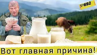 Почему мы сами не продаём свою молочную продукцию. Жизнь в Омской деревне.
