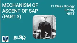 Mechanism Of Ascent of Sap (Part 3) in Tamil | Transport in Plants | Botany I Class 11 | NEET