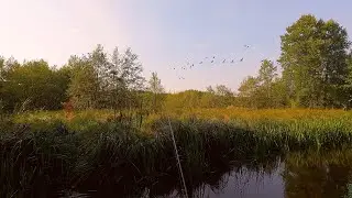 Pstrągi z małej rzeki 2024. Zakończenie sezonu pstrągowego.