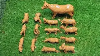 Little Animals & Amazing Journeys with Domestic, Farm, and Wild Jungle Animals!