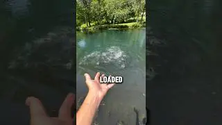 Fishing the BEST Trout Pond!