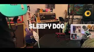 Sleepy Dog - 