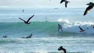 Surfing Morocco on a long board - Group surf trip 2019 - Global Surf