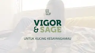 Vigor & Sage untuk Kucing Kesayanganmu