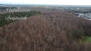 Vestskoven, Denmark - drone flight