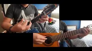 Caripuyo torrecita - Bonny Alberto Teran (Tutorial charango)