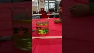Water, Oil, and Food Coloring Science Experiment!