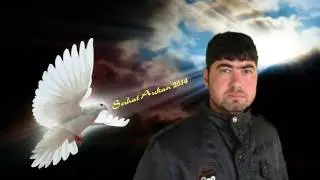 Serhat Arikan, Ceylan Gözlüm