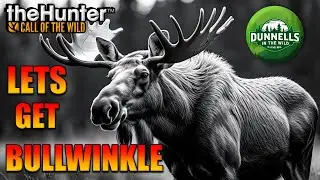 Setting Up for GREAT ONE MOOSE! 🫎 Medved Grind LIVE | Call of the Wild (Portrait)
