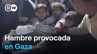 Gaza se queda sin comida por el bloqueo de Israel