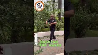 #pranavā      Simple technique to improve flow of energy in blood and lymph