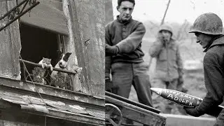 20 Most Powerful, Unseen Historical Photos Of WW2