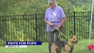 Sullivan County Animal Shelter, Tennessee Hills collaborate for adoption event