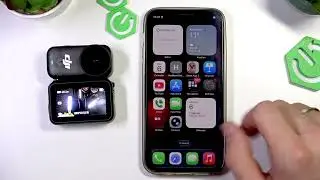 DJI Osmo Nano — как настроить и обновить прошивку