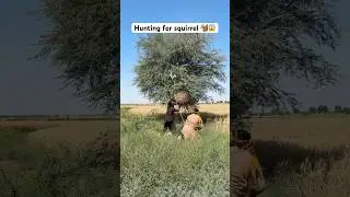 Hunting for squirrel 🐿️😱#squirrel #hunting #farming #farmer #hunter