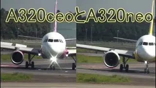 【飛行機のイロハ 2】外観から見たA320ceoとA320neoの見分け方