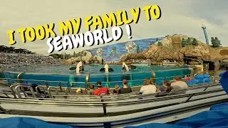 I TOOK MY FAMILY TO SEAWORLD!