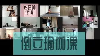 Inversion Special Yoga Class (Headstand to Pincha Mayurasana) 倒立瑜伽课  75 分钟 (中文) 5