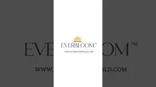 Fix Your Posture, Fix Your Mood | Simple Exercises for Seniors | EverBloom Elder Wellness
