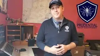 Chester County Pest Exterminators