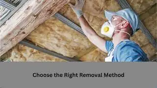 Spray Foam Removal