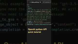 How to use OpenAI API FAST! 
