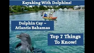 DOLPHIN CAY ATLANTIS RESORT [THE TOP 7 THINGS TO KNOW ABOUT KAYAKING WITH DOLPHINS AT DOLPHIN CAY]