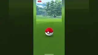 Shiny Stufful Pokedex Entry | First CD Check Shiny In Pokemon Go #shorts