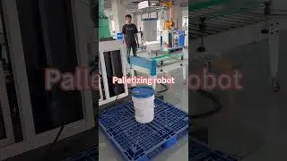 Palletizing Robot | Efficient & Precise Automated Stacking