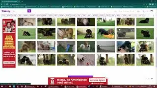 Conheça o videezy - site com vídeos gratuitos