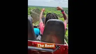 The Beast POV first hill at Kings Island #thebeast #kingsisland #pov #woodenrollercoaster