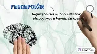 PROCESOS MENTALES