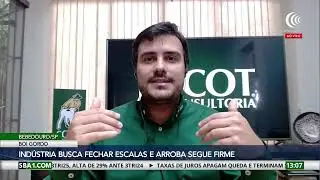 Confinamento cresce no Mato Grosso e impulsiona resultados em 2025