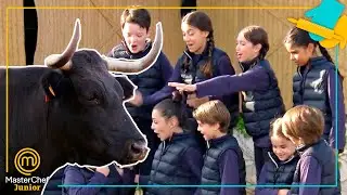 ¡LLEGADA A LA DEHESA! Y una gran ventaja para Aitana | MasterChef Junior 7
