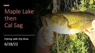 Finally got him!: Maple Lake then Cal Sag 6/18/22