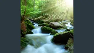 Cascade