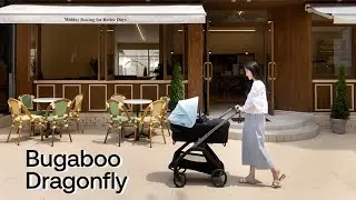 Bugaboo Dragonfly, рекомендации по коляске, эклектичная коляска