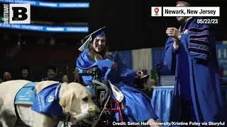 A HEARTWARMING TAIL! Service Dog Receives Diploma at Owner's Graduation