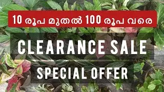 10 രൂപ മുതൽ 100 രൂപ വരെയുള്ള ചെടികൾ| clearance sale | #plants #terracegardenindia #garden #home 