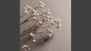 Soft Start (インストゥルメンタル)