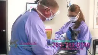 Creekside Animal Hospital and Wellness Center