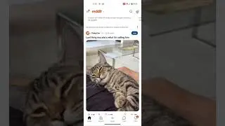 How to Crosspost on Reddit // Reddit pe post kaise crosspost karein