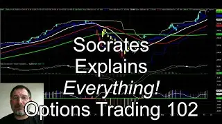 Live Apple AAPL and the Basics of Options Price Change vs Price Change in the Underlying Stock Price