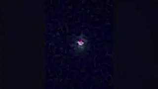 Sky Shepard Update Feb 2021🌌Rainbow flashing STARS ✨ SIGNS in the HEAVENS