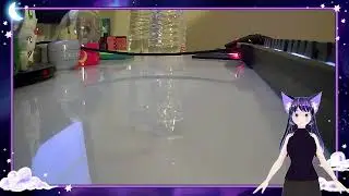 Package Opening - Knealie's Surprise