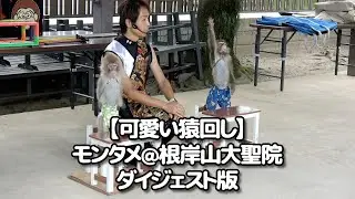 【可愛い猿回し】モンタメ＠根岸山大聖院ダイジェスト版