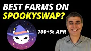 My Favorite Yield Farms On Spookyswap | DeFi Portfolio on Fantom