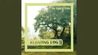 An Oak's Tale