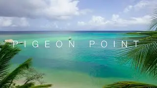 Pigeon Point Perfection (TOBAGO  🇹🇹)