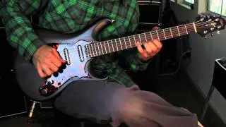 Scott Walker Guitars - Rosewood with Lipstick Pickups